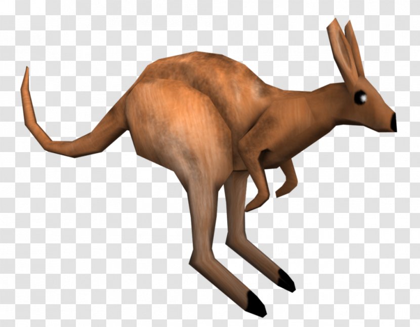 Macropodidae Red Kangaroo Deer Low Poly - Marsupial Transparent PNG