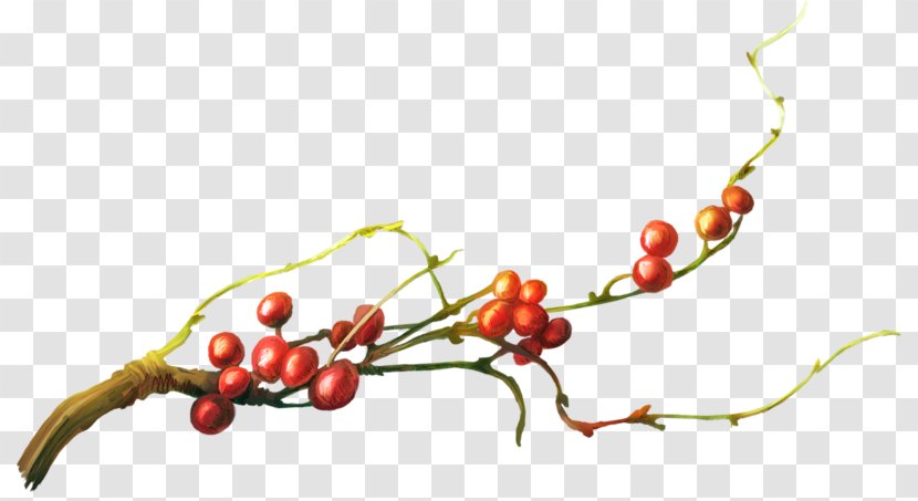 Tree Download Cherry Branch - Peach - Ah Transparent PNG