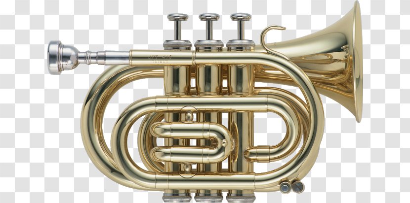 Musical Instruments Wind Instrument Trumpet French Horns - Frame - Instrumentos Musicales Transparent PNG