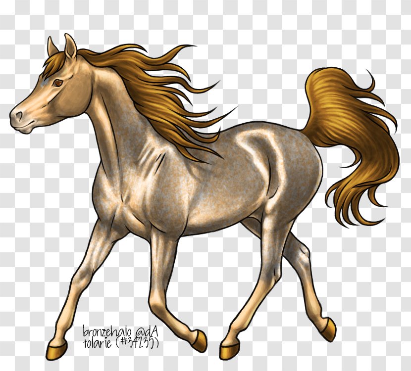 Mane Mustang Foal Stallion Colt - Mythical Creature Transparent PNG