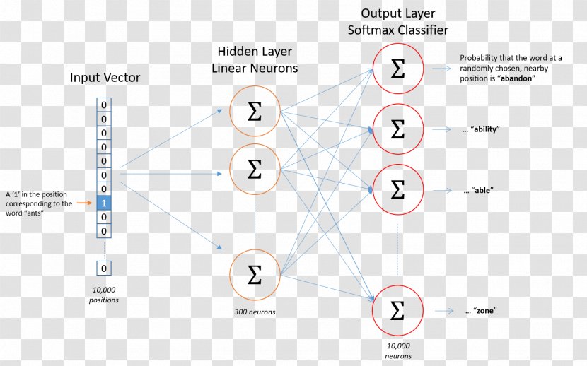 Brand Line Technology Angle - Classification And Labelling Transparent PNG