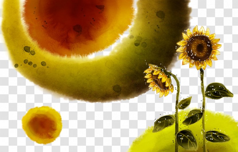 Illustration - Fruit - Hand-painted Sunflower Transparent PNG