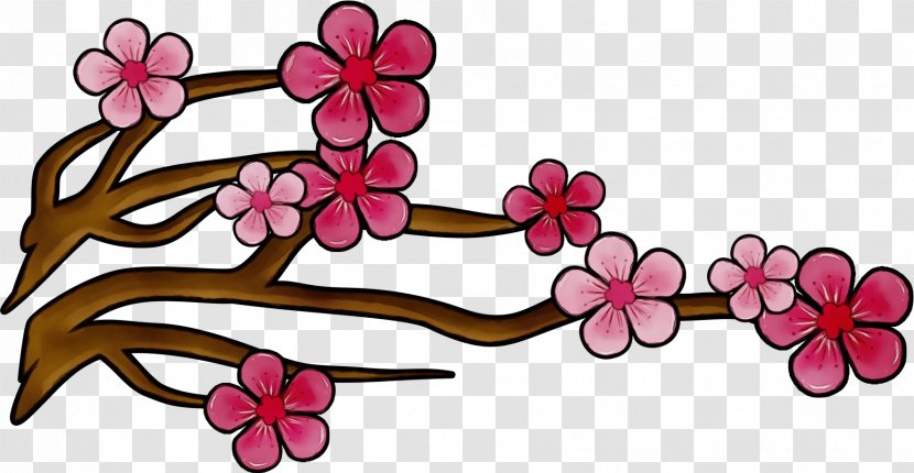 Cherry Blossom - Branch Petal Transparent PNG