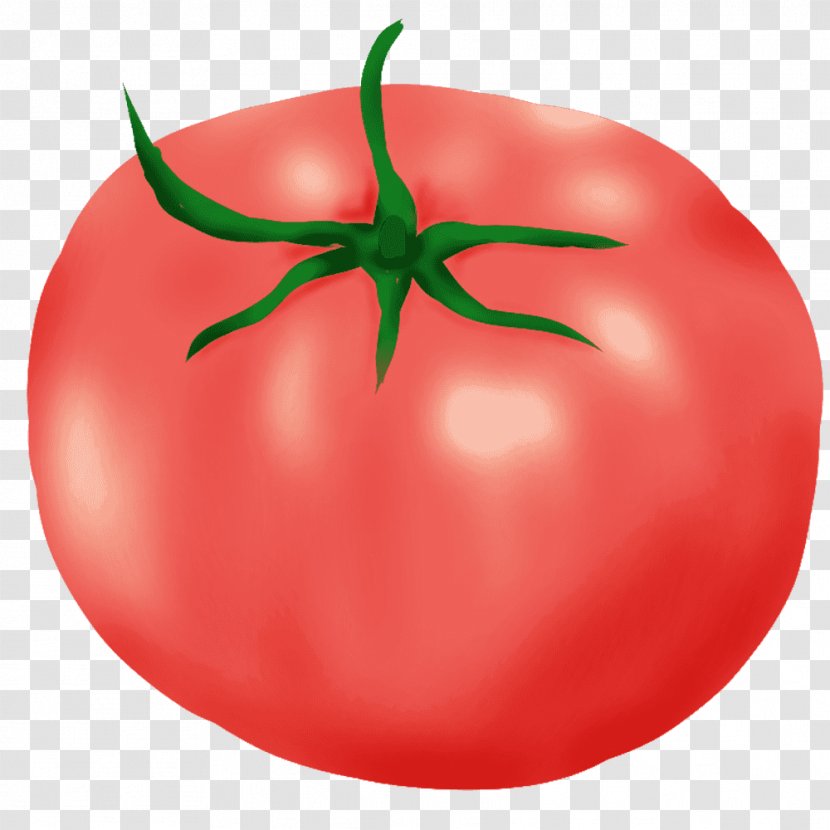 Plum Tomato Bush Budi Daya - Vegetable Transparent PNG