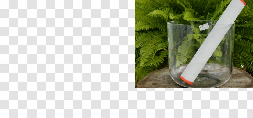 Grasses Plastic Water Herb Tree - Crystal Bowl Transparent PNG