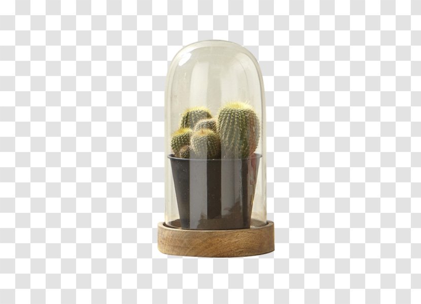Socialite Decorative Arts Flowerpot Glass Furniture - Artifact - Dome Transparent PNG