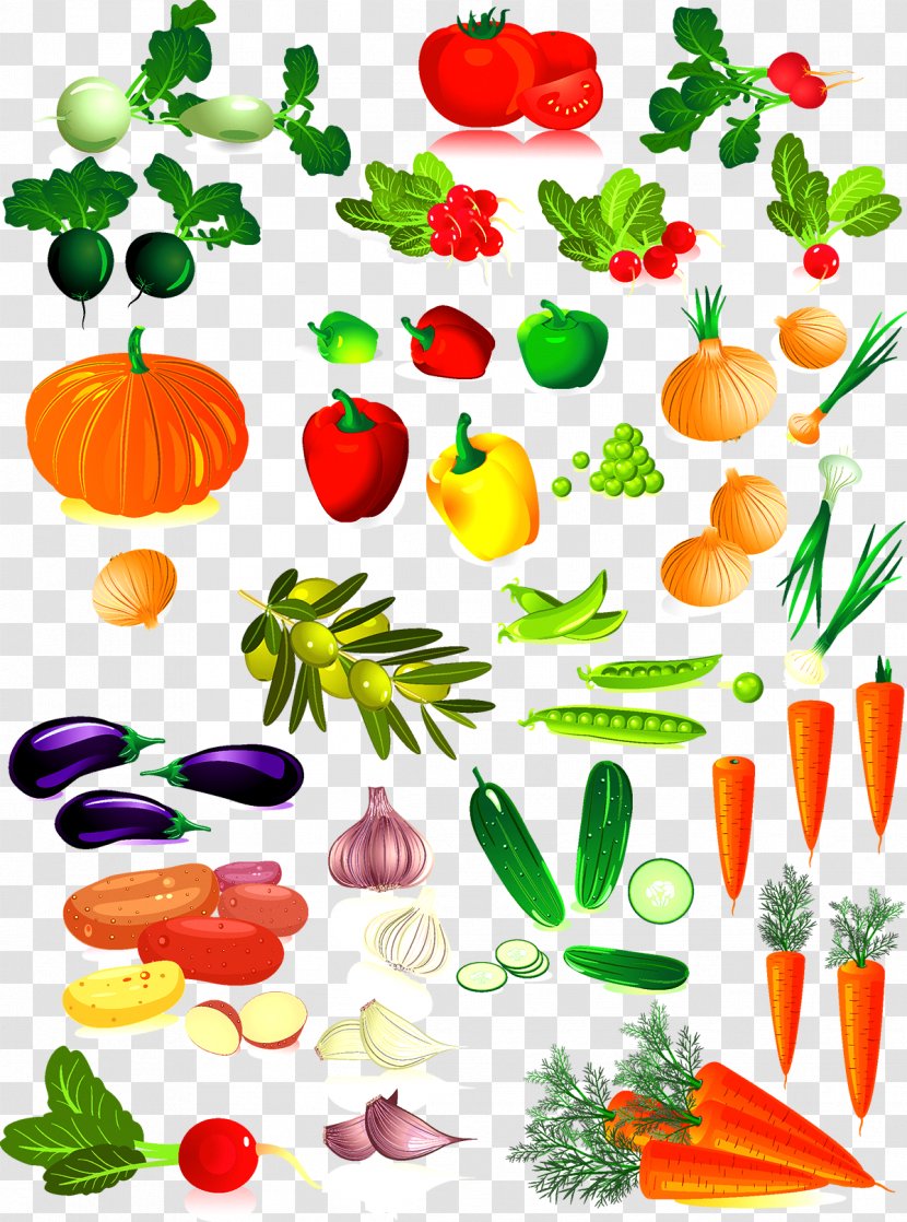 Vegetable Clip Art - Stock - Collection Transparent PNG