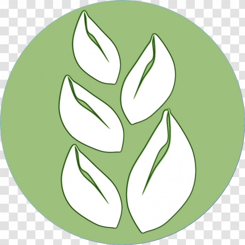 Green Leaf Watercolor - Logo - Symbol Transparent PNG