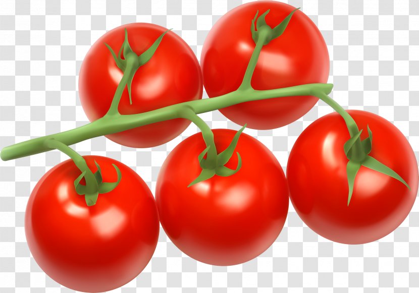 Clip Art Cherry Tomato Bush Vegetable - Marson Una Transparent PNG