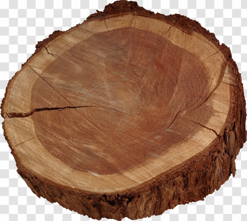 Tree Trunk Lumber - Spruce Transparent PNG