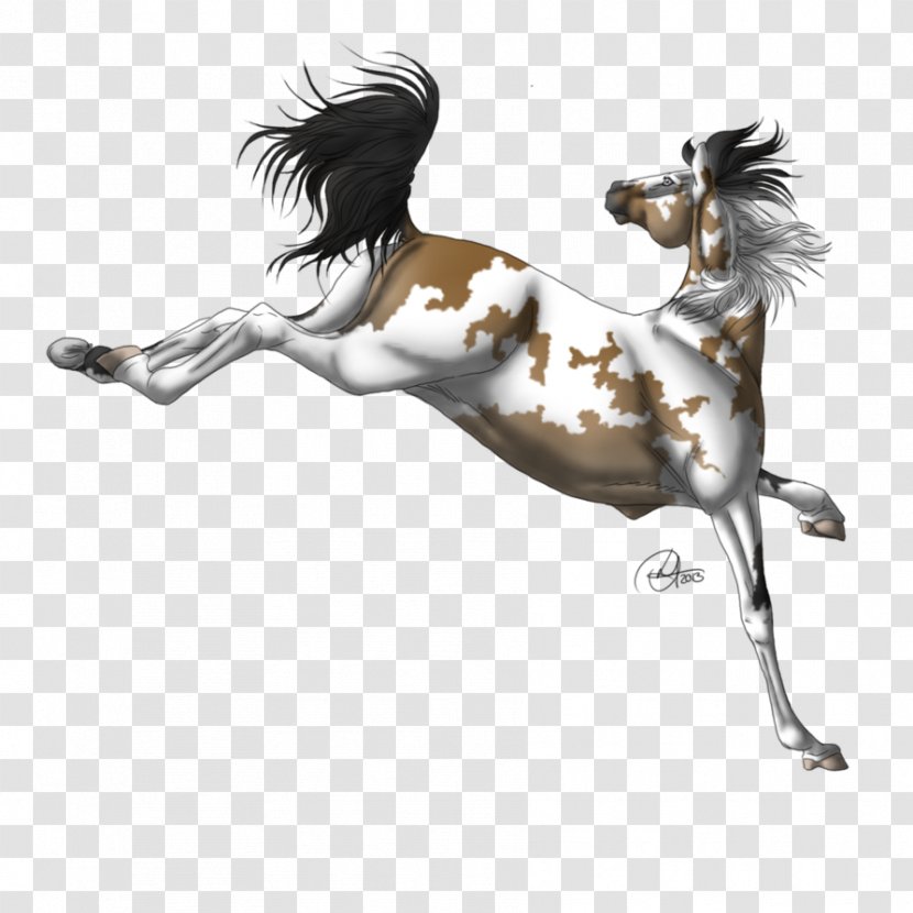Mustang Stallion Halter Freikörperkultur - Mane - Dark Moon Transparent PNG