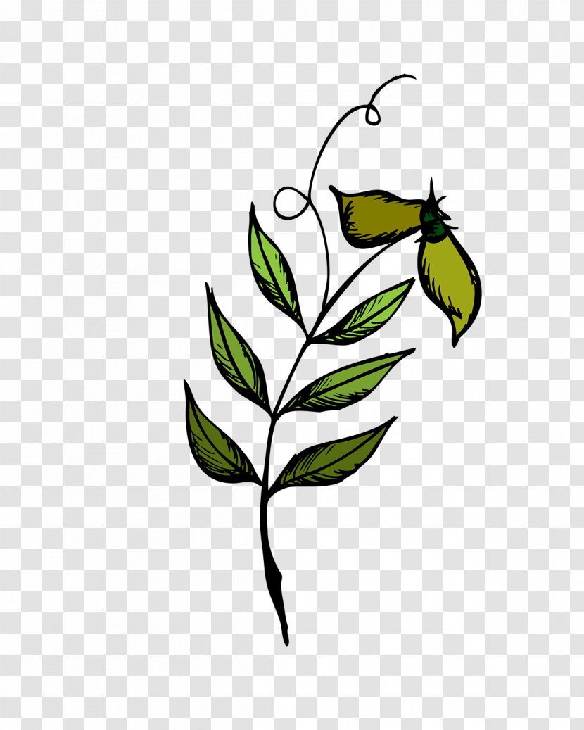 Twig Clip Art Plant Stem Flowering Leaf - Black And White Transparent PNG