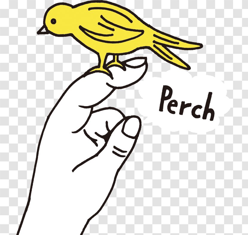 Beak Line Art Cartoon Clip - Plant - Perch Transparent PNG
