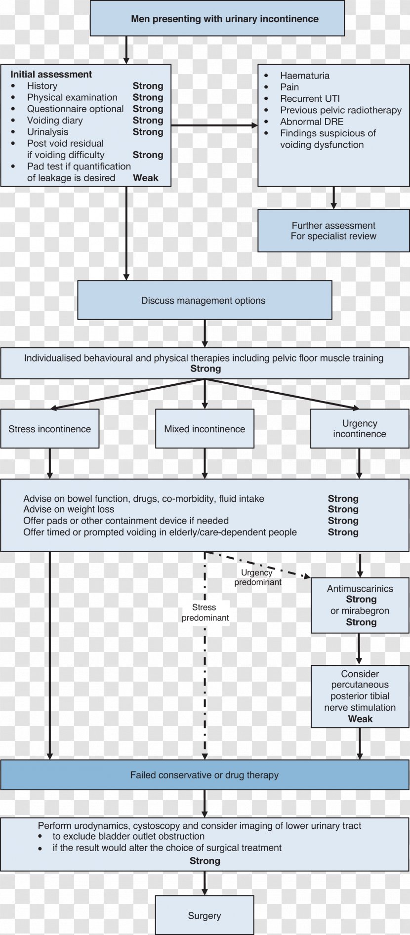 Urinary Incontinence The Management Of Incontinence: An Information Paper Excretory System Fecal Transparent PNG
