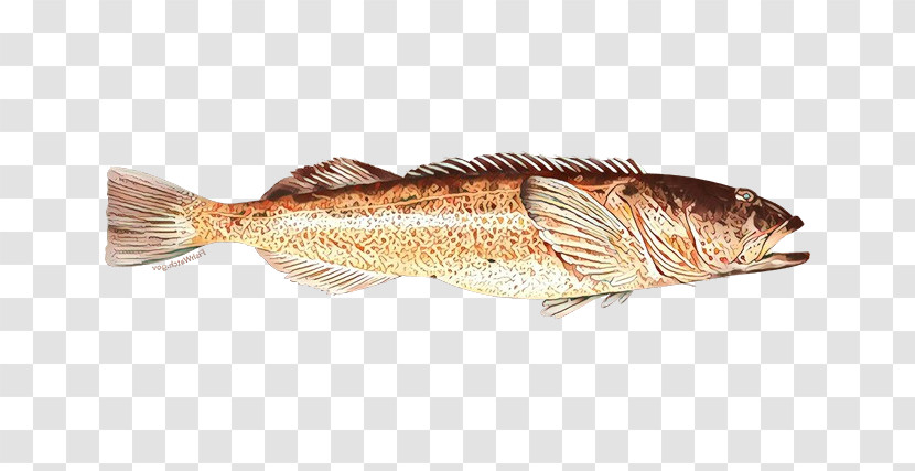 Fish Fish Fish Products Bony-fish Tilapia Transparent PNG