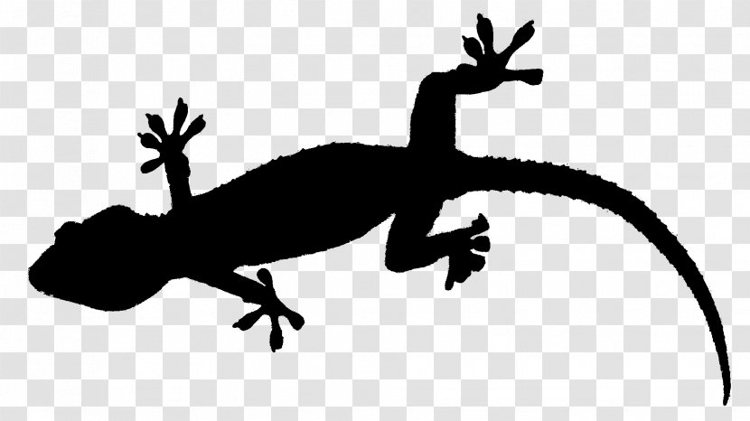 Gecko Frog Lizard Terrestrial Animal Fauna - Reptile Transparent PNG
