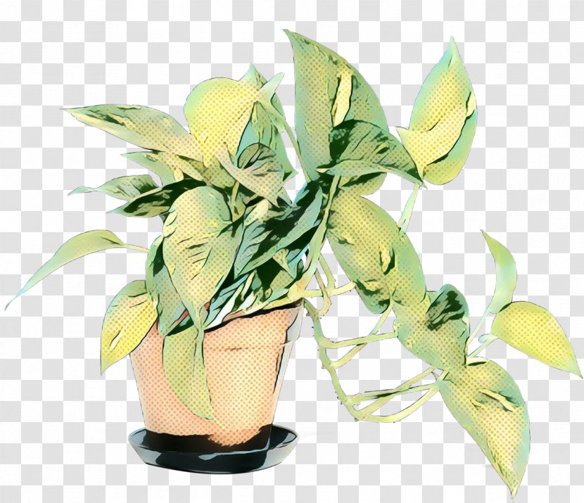 Plants Background - Herb Anthurium Transparent PNG