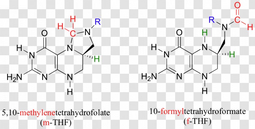 Functional Group Aldehyde Chemical Reaction 10-Formyltetrahydrofolate Anion - Diagram - Sacramento Valley Transparent PNG