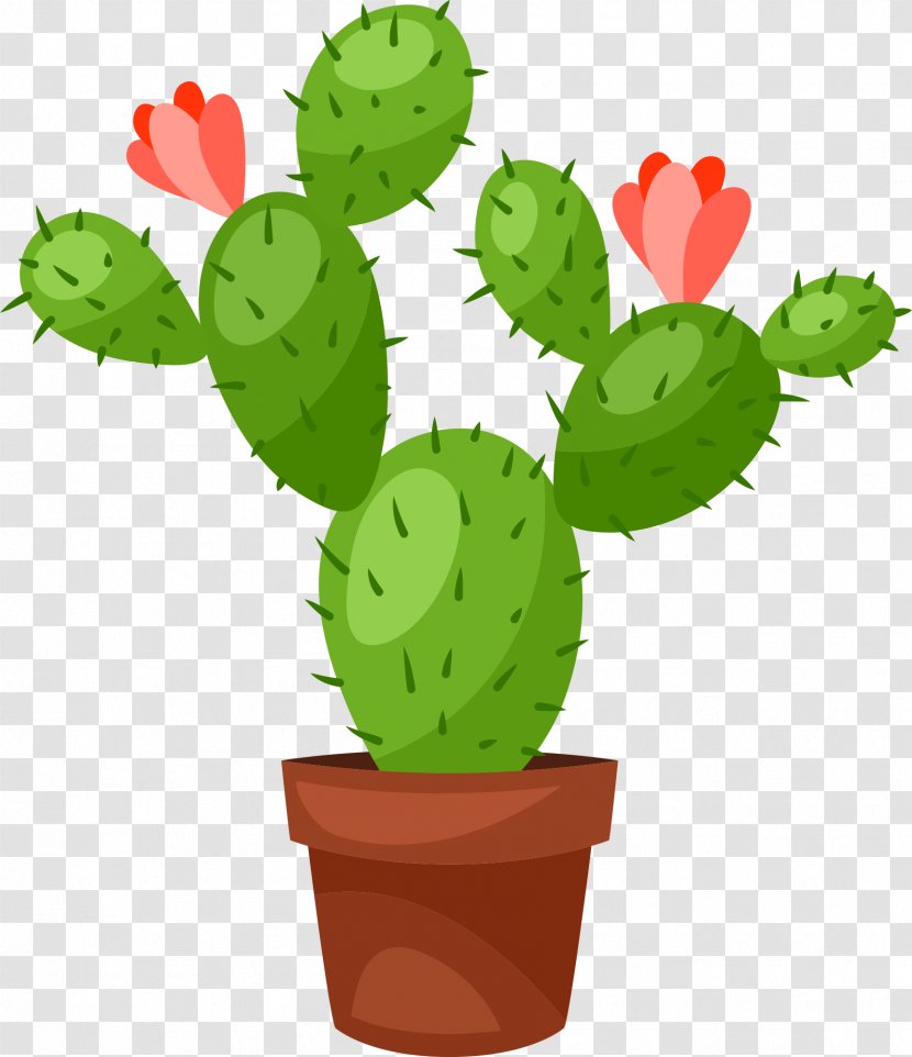 Cactus Vector Graphics Royalty-free Illustration Flowerpot - Eastern Prickly Pear - Bonsai Transparent PNG