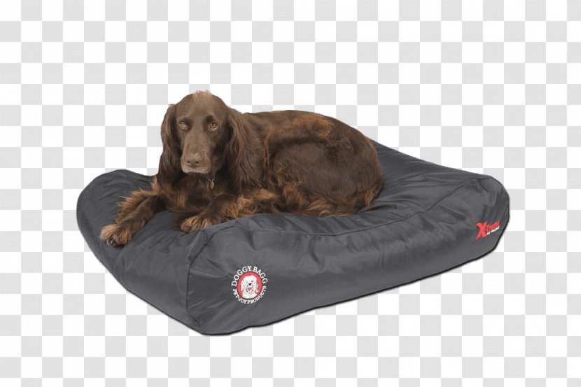 Dog Breed Field Spaniel Boykin Pet Shop Transparent PNG