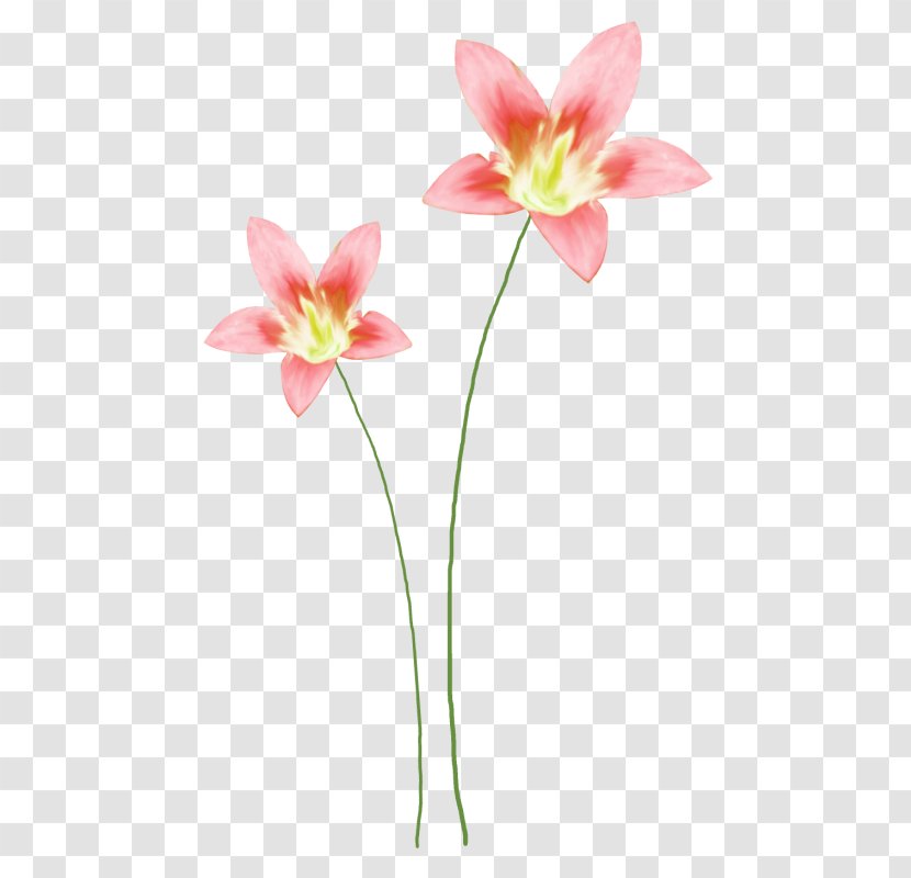 Floral Design Watercolor Painting Clip Art - Spring - Flowers Creative Patterns Transparent PNG