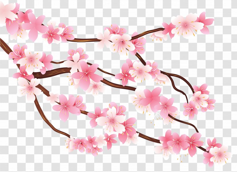 Diagram Branch Clip Art - Floral Design - Pink Spring Clipart Image Transparent PNG