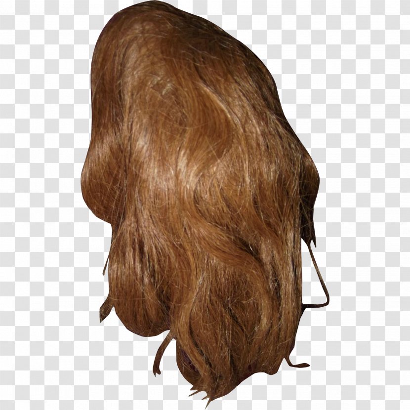 Brown Hair Coloring Long Wig Transparent PNG