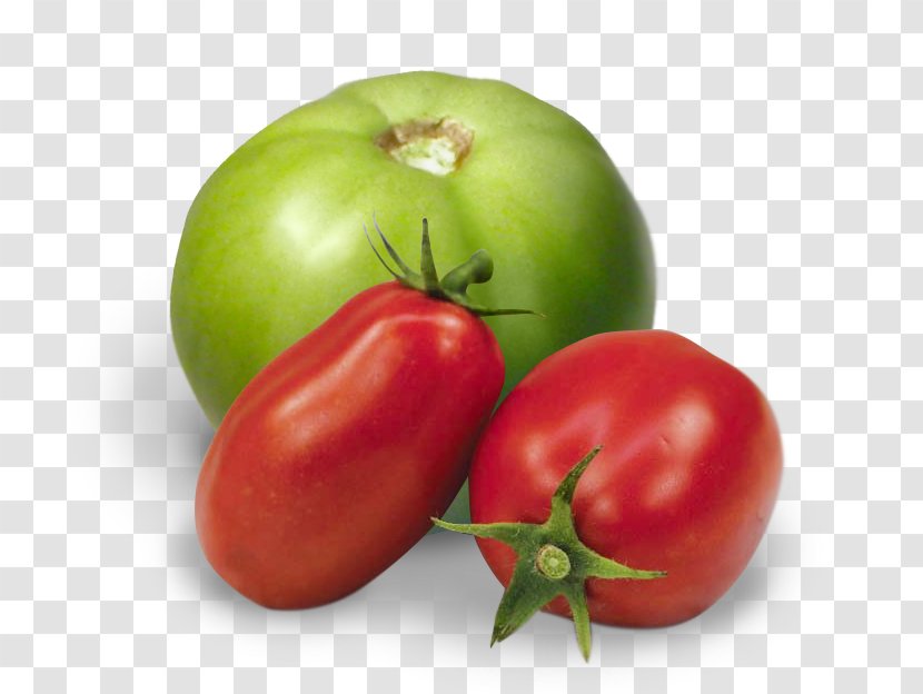 Plum Tomato Roma Food Fried Green Tomatoes Bush - Whole - Juice Transparent PNG