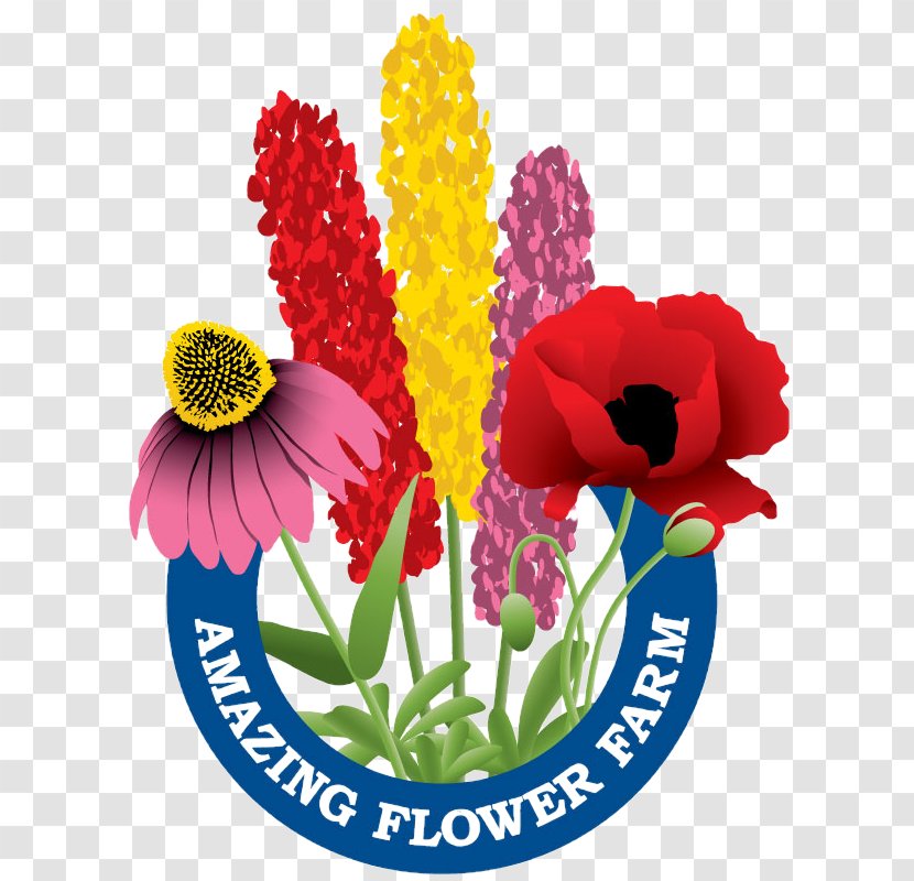 Floral Design Cut Flowers Amazing Flower Farm Tulip Transparent PNG