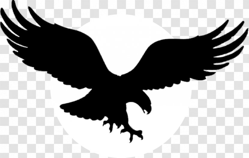 Bald Eagle Golden Tattoo Black - Vulture - Winged Insignia Transparent PNG
