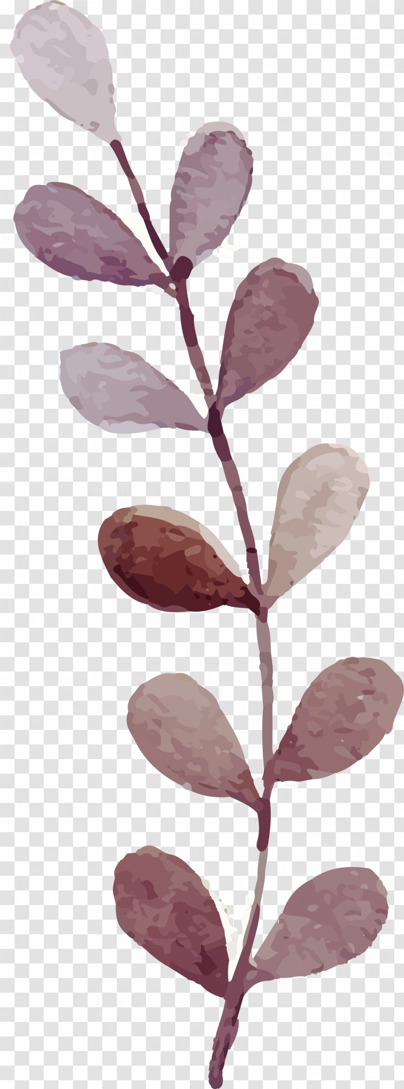 Watercolor: Flowers Watercolor Painting - Petal - A Coffee Colored Watercolour Plant Transparent PNG