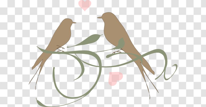 Lovebird Parrot Clip Art - Royaltyfree - Love Birds Transparent PNG