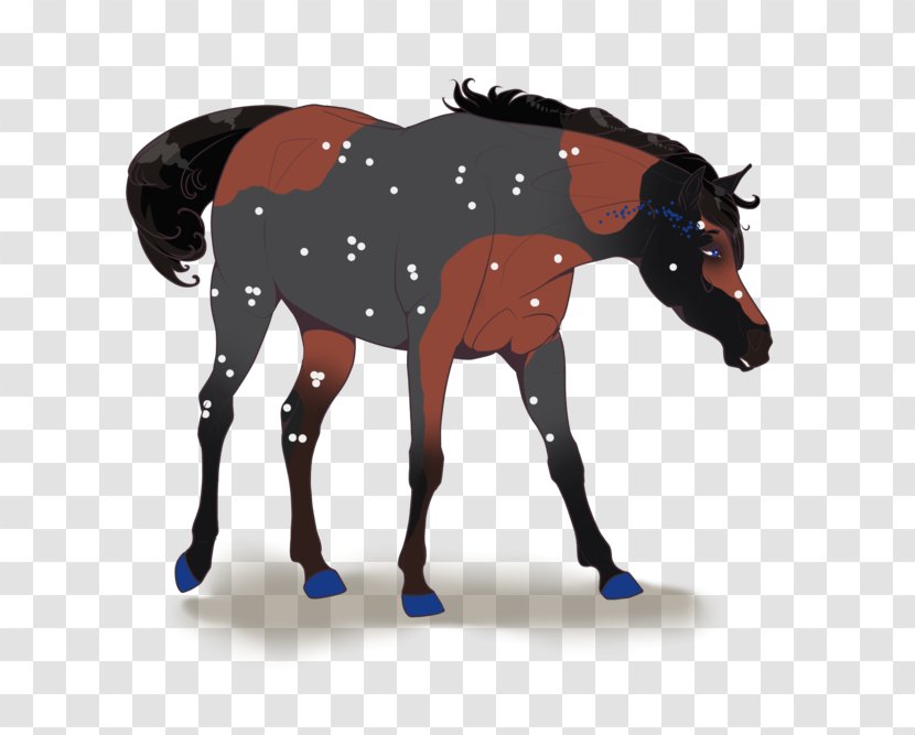 Mule Stallion Mustang Foal Colt Transparent PNG