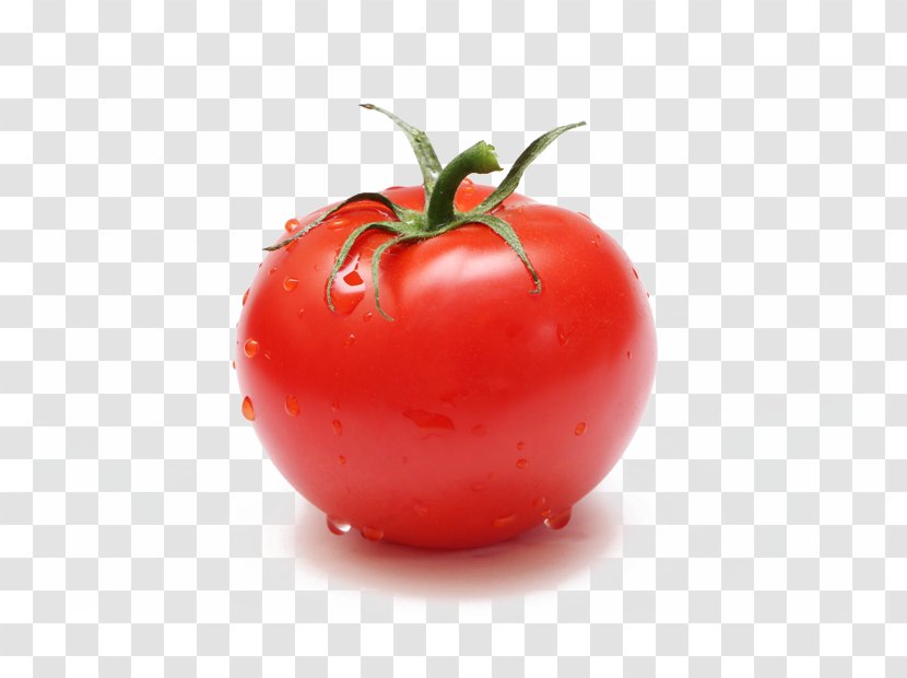 Plum Tomato Bush Cherry Stock Photography Food - Vegetable Transparent PNG
