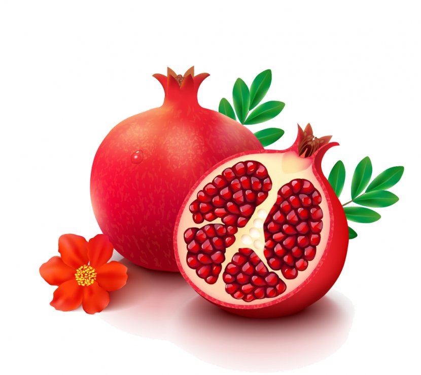 Pomegranate Fruit Vector Graphics Image Drawing - Local Food Transparent PNG