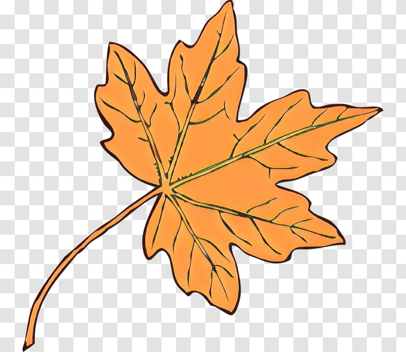 Maple Leaf - Cartoon - Orange Flowering Plant Transparent PNG