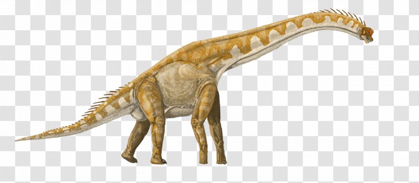 Brachiosaurus Lusotitan Giraffatitan Tyrannosaurus Apatosaurus - Dinosaur Transparent PNG