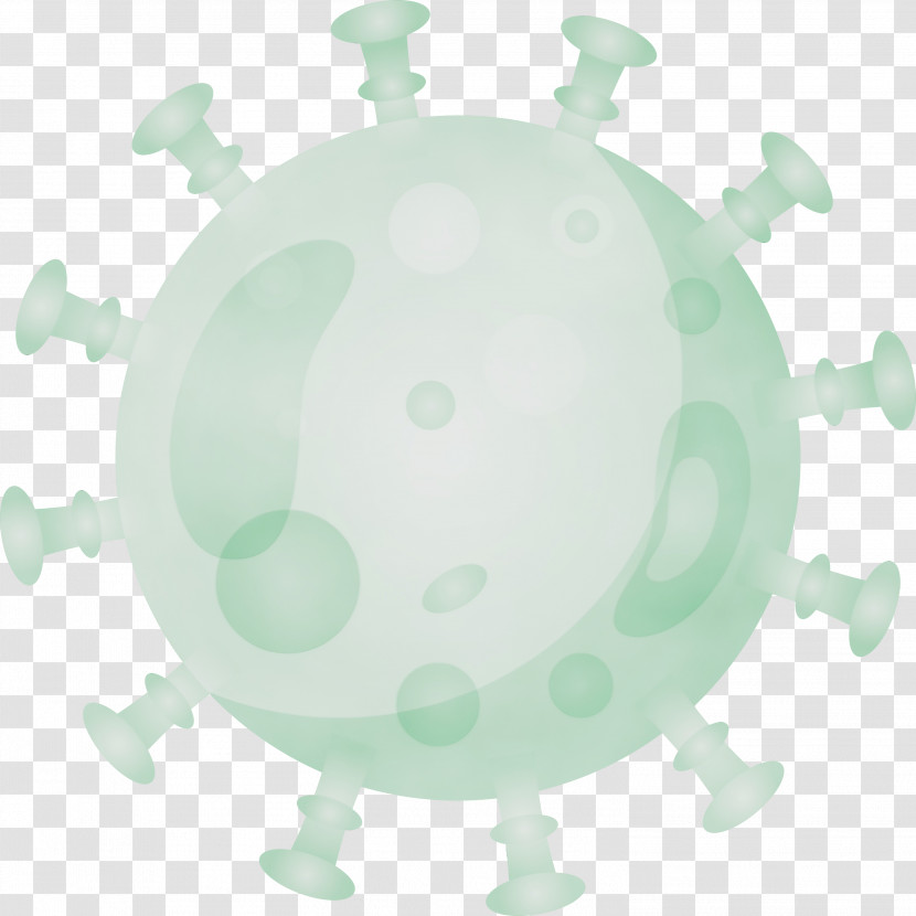 Green Sea Turtle Transparent PNG