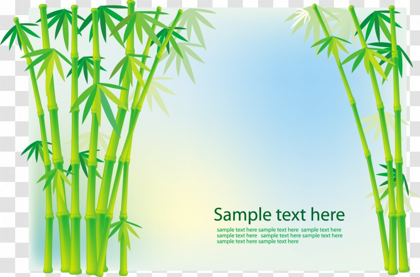 Vector Graphics Image Stock Photography Tropical Woody Bamboos - Elymus Repens - Bamboo Transparent PNG