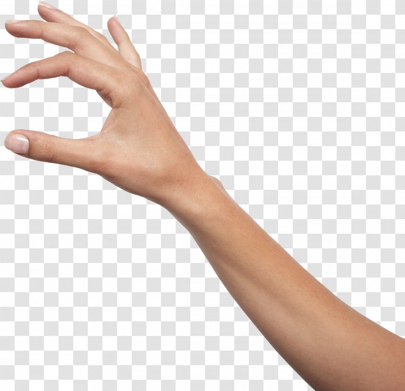 Hand Finger Clip Art - Nail - Fingers Transparent PNG