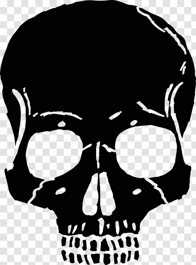 Skull Bone Death Image Transparent PNG