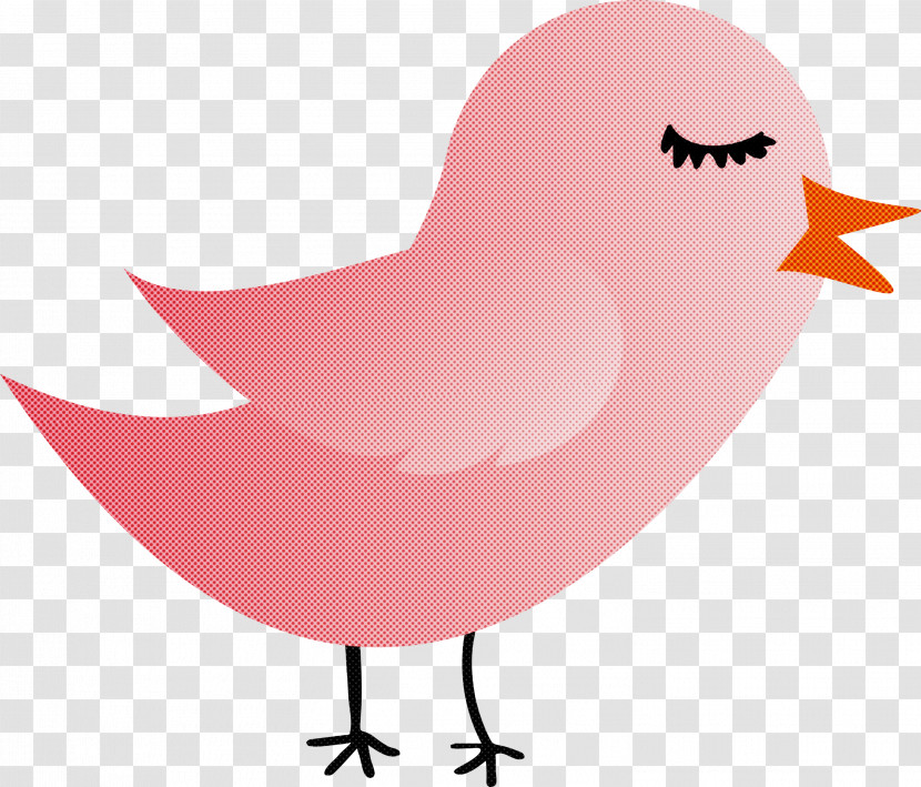 Pink Bird Cartoon Beak Mouth Transparent PNG