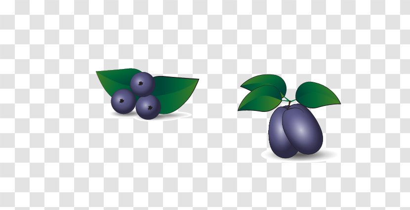 Blueberry Euclidean Vector - Bilberry Transparent PNG