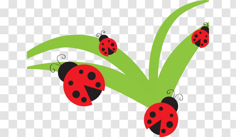 Clip Art Free Content Openclipart Ladybird Beetle Illustration - Insect - Ladybug Larva Transparent PNG