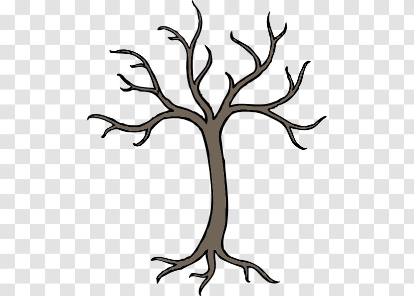 Tree Trunk Drawing - Woody Plant - Plane Transparent PNG