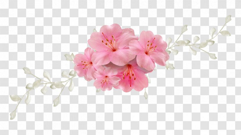 Clip Art Flower Image Desktop Wallpaper - Cut Flowers Transparent PNG