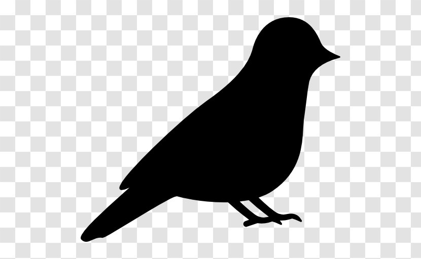 Bird Silhouette Drawing Clip Art - Marine Mammal - Pigeon Transparent PNG