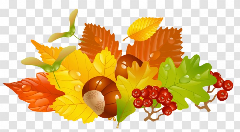 Autumn Leaf Color Clip Art - Royalty Free - Transparent Fall Leaves And Chestnuts Picture Transparent PNG