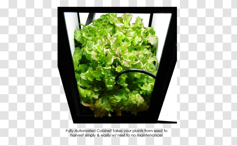 Grow Box Hydroponics Growroom Light Light-emitting Diode - Herb Transparent PNG