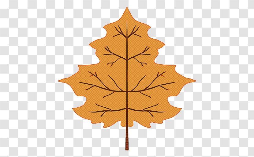 Maple Leaf - American Larch Transparent PNG